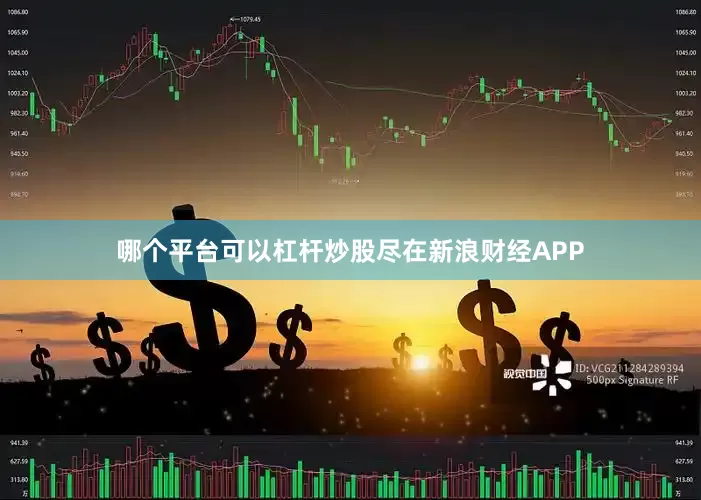 哪个平台可以杠杆炒股尽在新浪财经APP